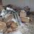 Junk Removal and house cleanout 14 thumbnail