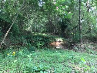 $35,000 / 20000ft2 - Lot in lake snow shore, ms. (Ashland, ms.)63761741895169122