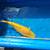 Dainichi yellow monkey ginrin chagoi koi 4 thumbnail