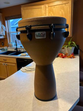 Remo Djembe 1
