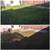 AFFORDABLE LAWN CARE**  ONE TIME YARD CLEANUPS & BI-WEEKLY YARD MAINT. 12 thumbnail
