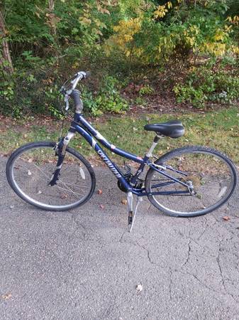 Specialized Sport Hybrid bike front suspension, Fork Brace 1