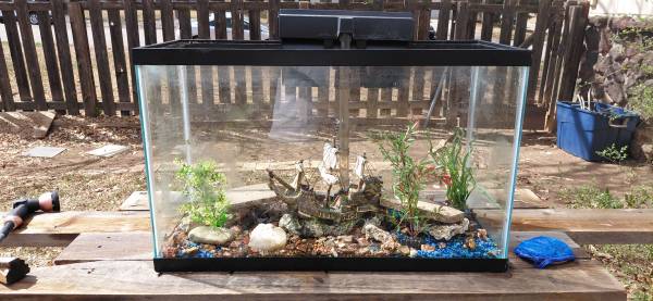 Fish tank 1