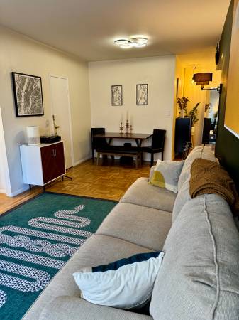 $3,200 / 2br - 1 BR in Sunny, Spacious 2 BR WV Apartment (West Village)63661271648771123