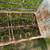 Vintage / shabby chic (shabby) steel porch glider A111 12 thumbnail