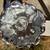 Stangl pottery colonial silver dish 3410-7 1 thumbnail
