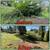 YARD CLEAN-UP( JUNKREMOVAL(LAWNCARE(TRIM TREE) 5 thumbnail