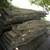 COPPER BEECH HARDWOOD SLABS, WOODWORKING, LATHING 2 thumbnail