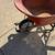 Wheelbarrow 2 thumbnail