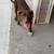 American Bullies Louis V x Zullou 7 thumbnail