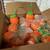 Pumpkin Sipper Cups 4 cases 1 thumbnail