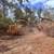 Land clearing  underbrushing 9 thumbnail