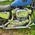2001 Harley Davidson sportster wrecked for parts only 4 thumbnail