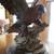 Eagle Sculpture by Armani 1 thumbnail
