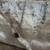 concrete irrigation box 3 thumbnail