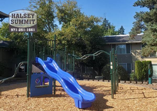 $1,215 / 1br - FREE MO & SAVE $500 MORE + Large 1 Bed - Diverse, Multi-generational (Wilkes-East)63867269394691120