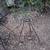 Set of Vintage Spanish Revival Style Iron Scroll Planter Stands 5 thumbnail
