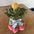 Ceramic vegetable container 1 thumbnail