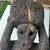 Primitive Fern Tree Figure Statute 5 thumbnail