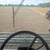 2025 Wheat Straw 2 thumbnail