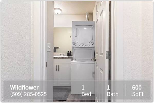 1 Bed / 1 Bath. Convenient in-home washer and dryer included. 1