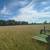4x5 round bales 3 thumbnail
