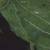 11.57 acres with 1306 ft of waterfrontage 2 thumbnail