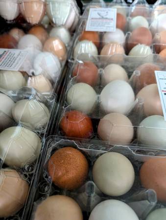Farm Fresh, Free Range Eggs, by the Dozen 1