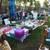 Hugh Sale Muti Family (Backyard Sale) 15 thumbnail
