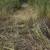 16 Acres Boardering Canadian River near Boys Ranch 3 thumbnail
