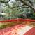 4/2.5 House for rent in NW Austin C91 21 thumbnail