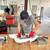 Roofing Apprentice Career Opportunity (No experience Necessary) 4 thumbnail