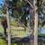 Golf Course View! 14 thumbnail