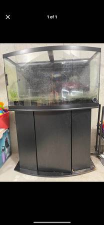 55g bow front aquarium with stand and lids63871359065091120