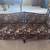 Antique Victorian Revival Settee – Hand-Carved Wood & Floral Tapestry 1 thumbnail