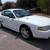 1994 Ford Mustang Cobra SVT 5 thumbnail
