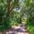 Charming 0.2-Acre Lot in Altamonte Springs! 4 thumbnail