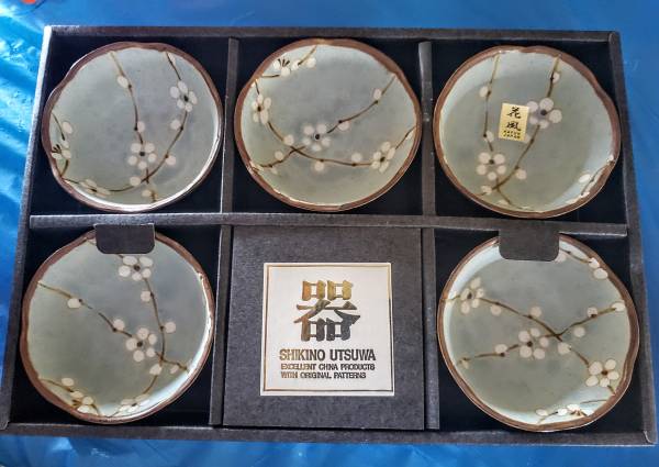 Set of 5 brand new never used Asian inspired Bowls 1