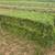 ALFALFA HAY BALAGE  -  DEER CANDY 2 thumbnail