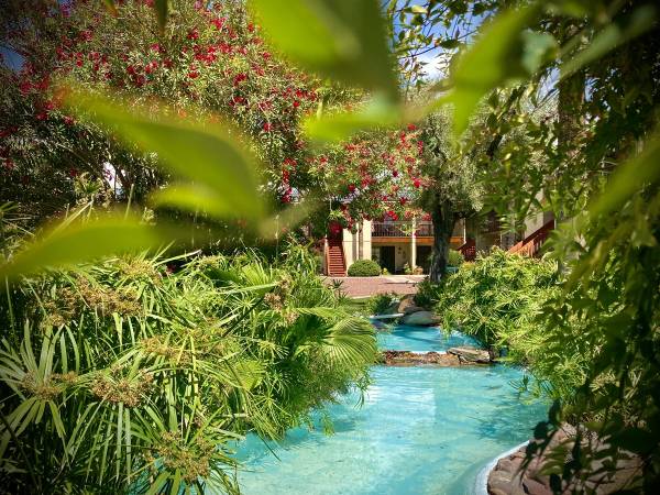 Professionally Managed, Private Patios, Covered Parking 1