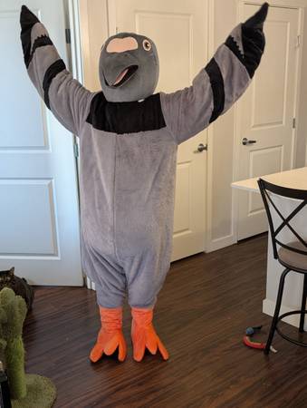 Pigeon costume 1