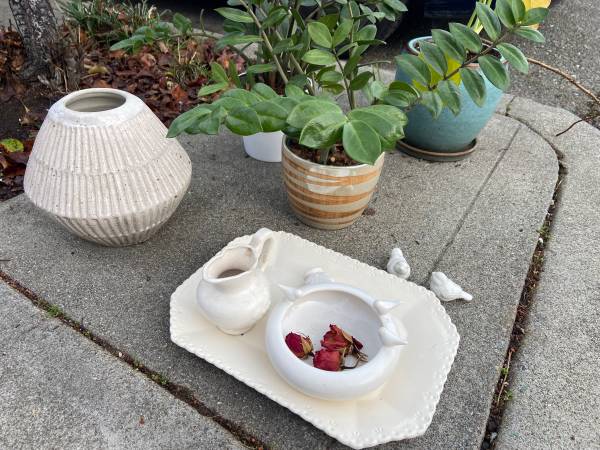 Free household items: plants, decor, toiletries, misc. 1