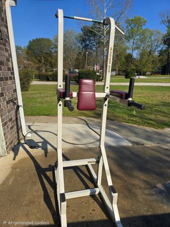 Gold's Gym Power Tower 2500 1