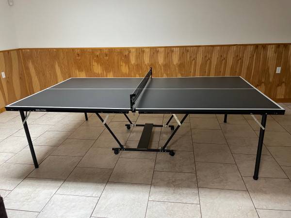 Ping Pong table 1