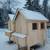New Chicken Coop 5 thumbnail