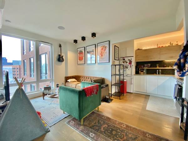 $3,300 / 1br - Clinton Hill / Prospect Heights - Apartamento de Lujo de 1 Dormitorio, Gimnasio, Lavandería, Azotea (Clinton Hill / Prospect Heights)63788715118209120