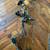 Compound Bow PSE Force 1 thumbnail