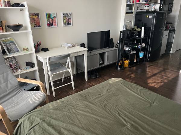 $1,300 / 315ft2 - Amazing furnished Studio in Uptown Chicago Lawrence House for sublet (Uptown)63918533531778123
