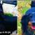 Male neutered dachshunds 4 thumbnail
