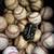 UMPIRES KIT BASEBALLS AND GLOVES 1 thumbnail